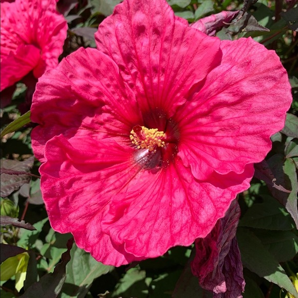 Hi, I’m Linda 👋 - Picture 9 of 12